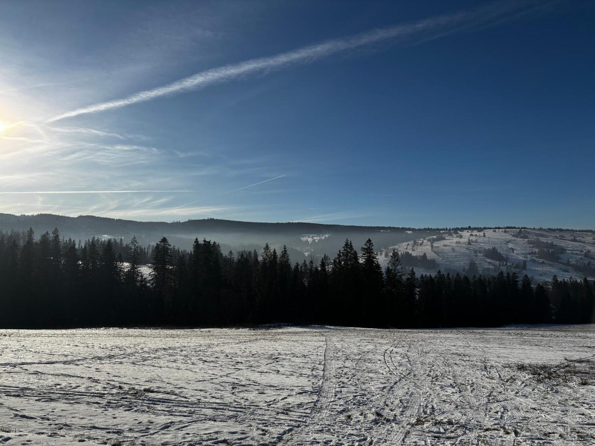 Witowianskie Domki Z Kominkiem, Jacuzzi I Sauna Dzianisz Bagian luar foto